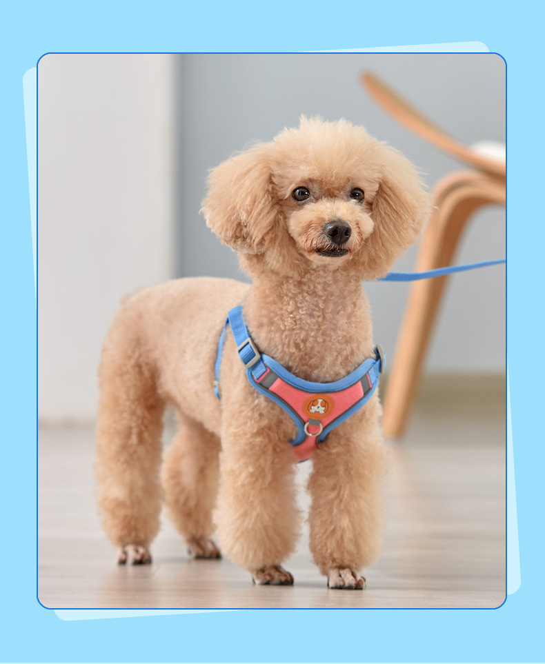 犬 ハーネス やわらか快適ハーネス