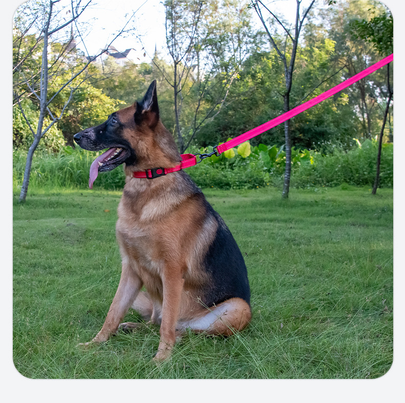 犬 ハーネス なめらかリード散歩用引き紐
