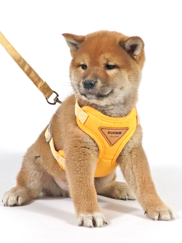 犬 ハーネス やさしさ包む ふわふわベストハーネス
