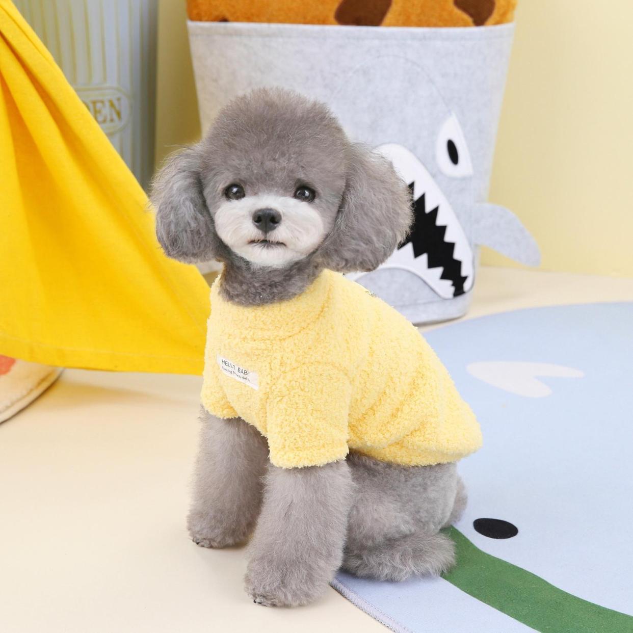犬 ハーネス 生成エラーです