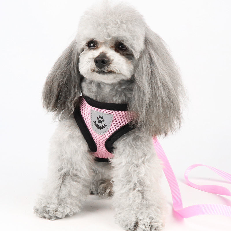 犬 ハーネス 通気メッシュ やさしいフィット ハーネス