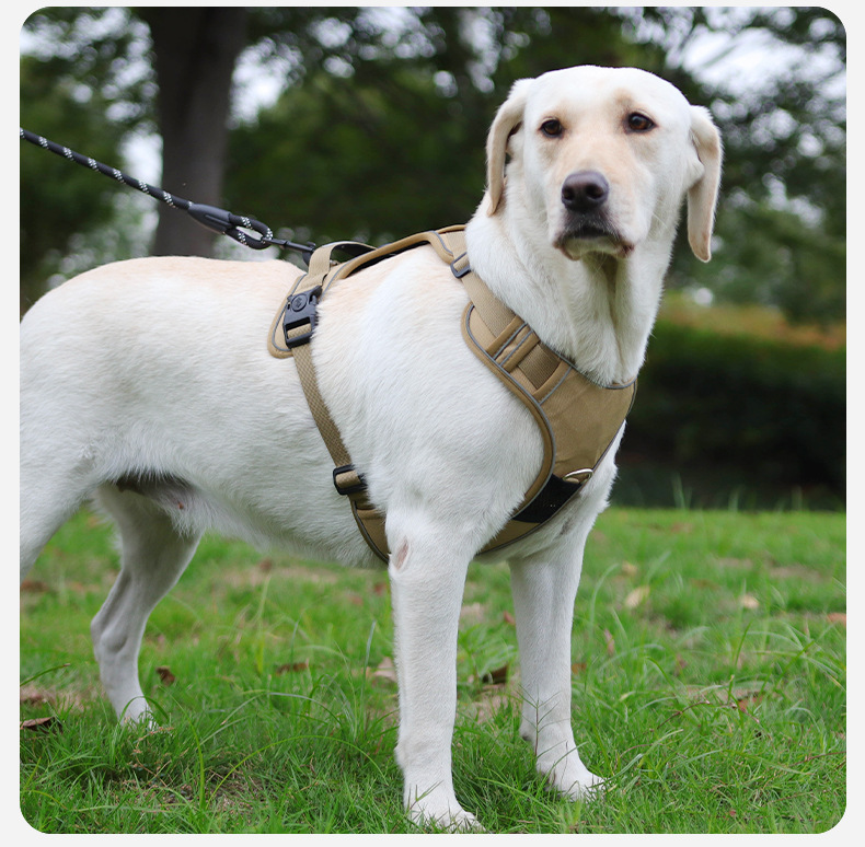 犬 ハーネス しなやかフィット ソフトハーネス