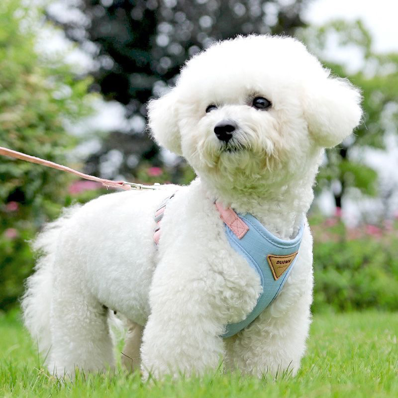 犬 ハーネス やわらか素材の美しい仕立てハーネス