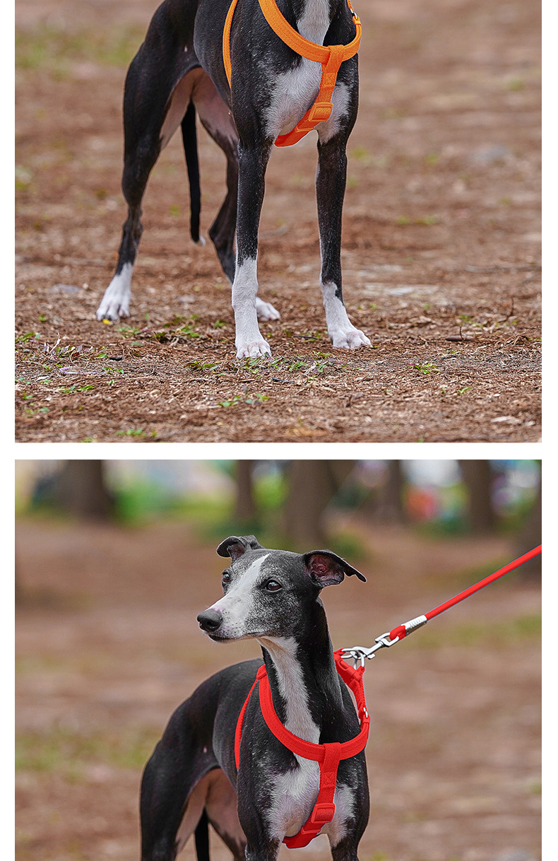 犬 ハーネス シャルム やわらかハーネス