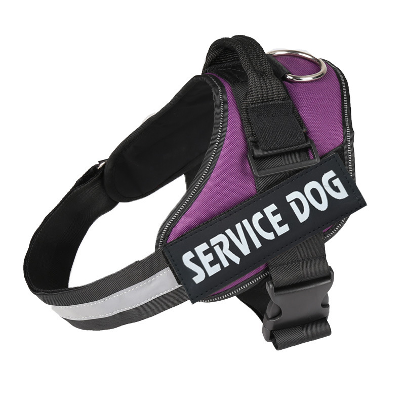 https://fulmo-img-server.com/wonderfulharness/29da4c18-2233-47ee-8e74-6b6d1ffbf22c.jpg