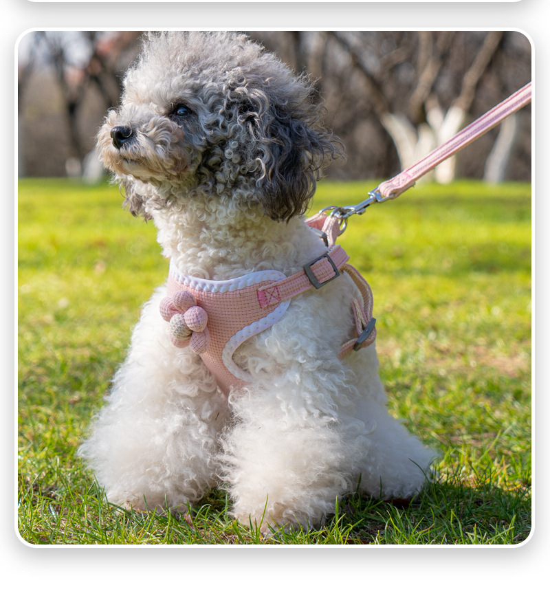 犬 ハーネス もふもふ胸あて散歩具