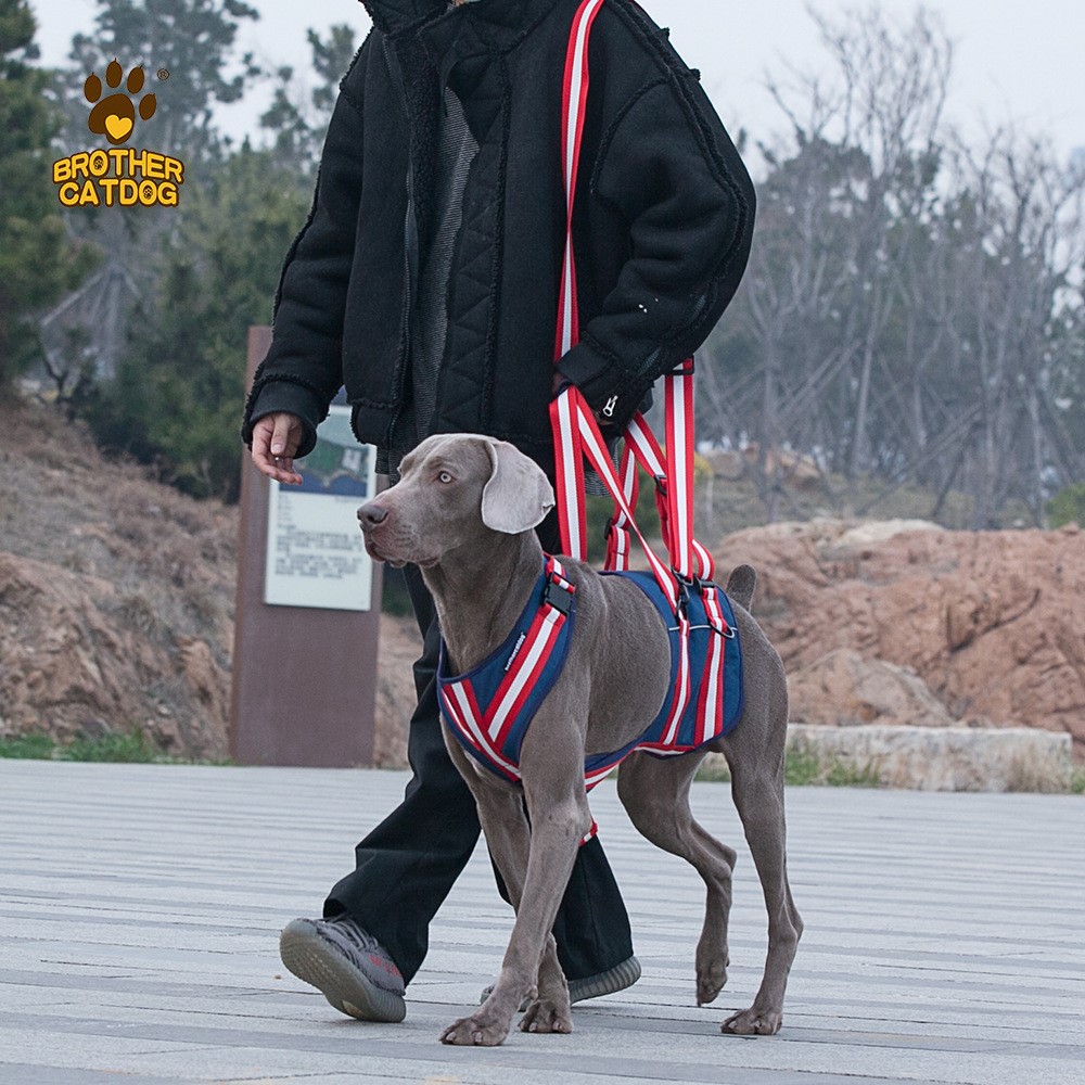犬 ハーネス リフト補助ハーネス ソリッドスタイル