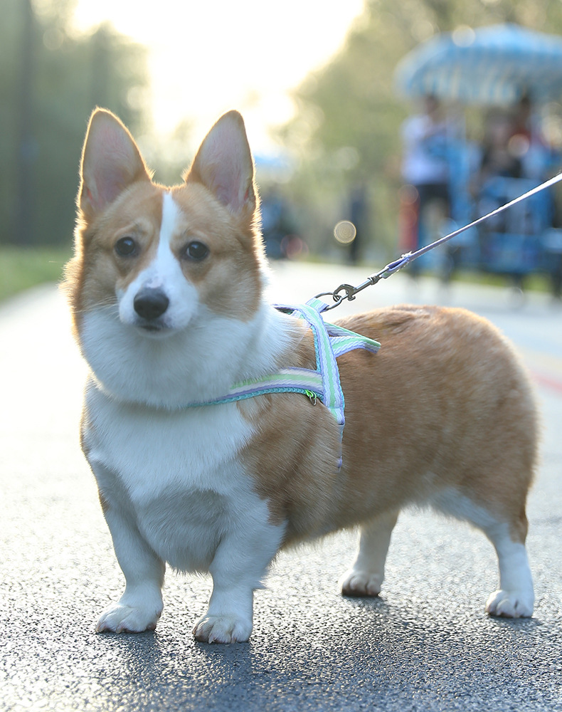 犬 ハーネス やさしさ包む ふわふわハーネス