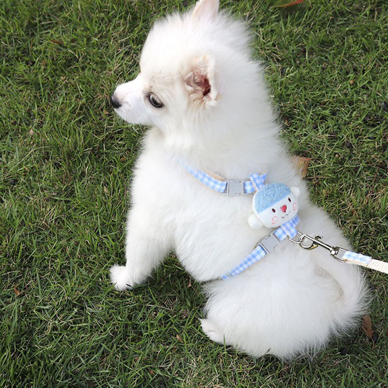 犬 ハーネス チェック柄ペット用ハーネスセット