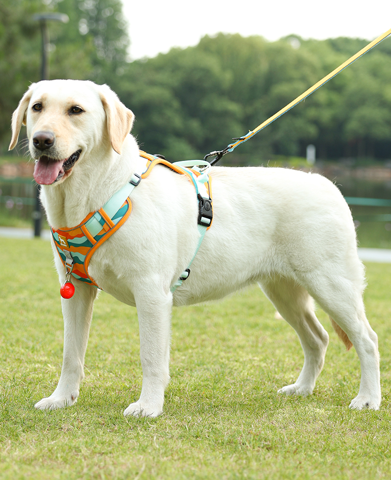 犬 ハーネス やさしさ包む 快適メッシュハーネス
