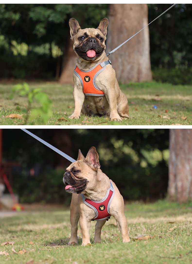 犬 ハーネス フレンチブル用 やさしさハーネス