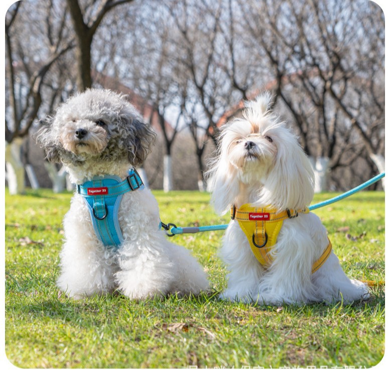 犬 ハーネス やさしさ包む メッシュフィットハーネス