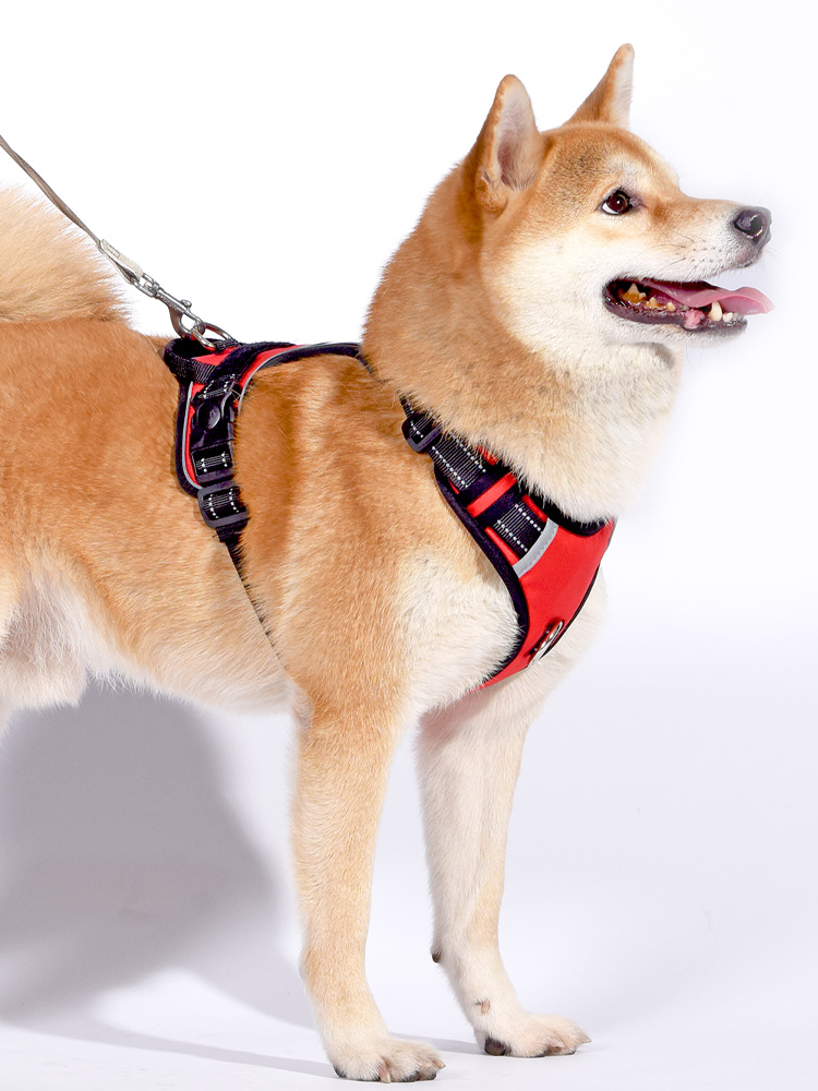 犬 ハーネス ふんわり包む 安心ハーネス