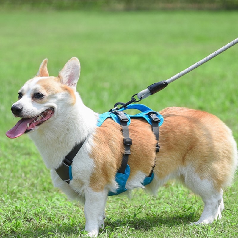 犬 ハーネス あんしん快適ハーネス