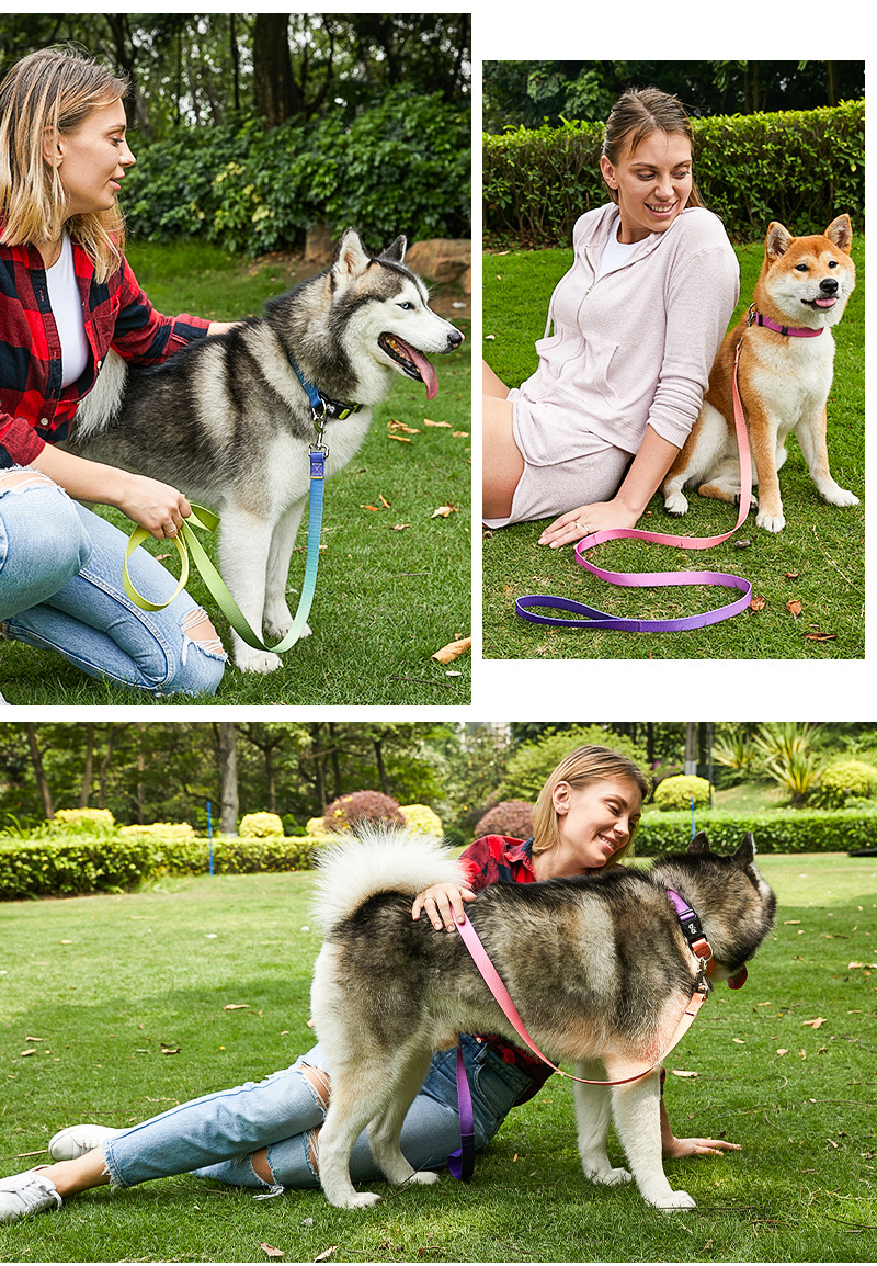 犬 ハーネス やさしさ広がる首輪コレクション