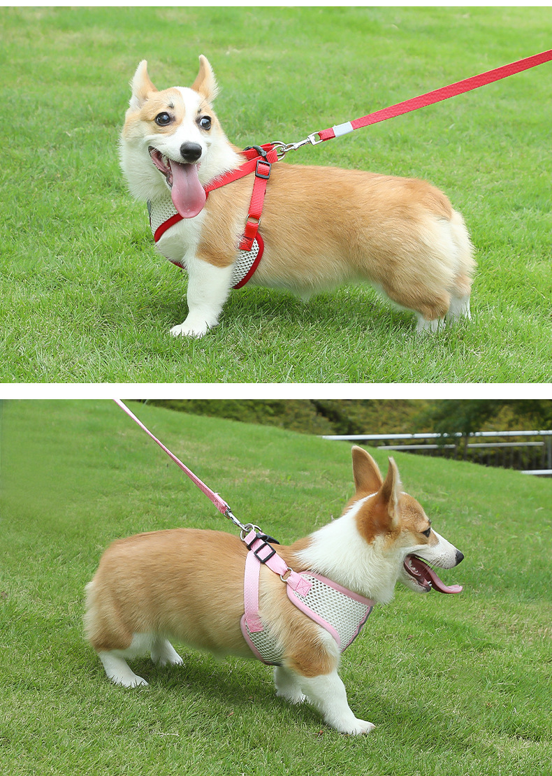 犬 ハーネス メッシュ快適ハーネス