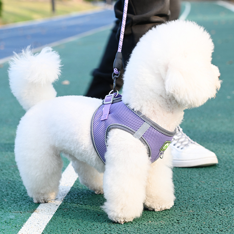犬 ハーネス やさしい呼吸メッシュハーネス