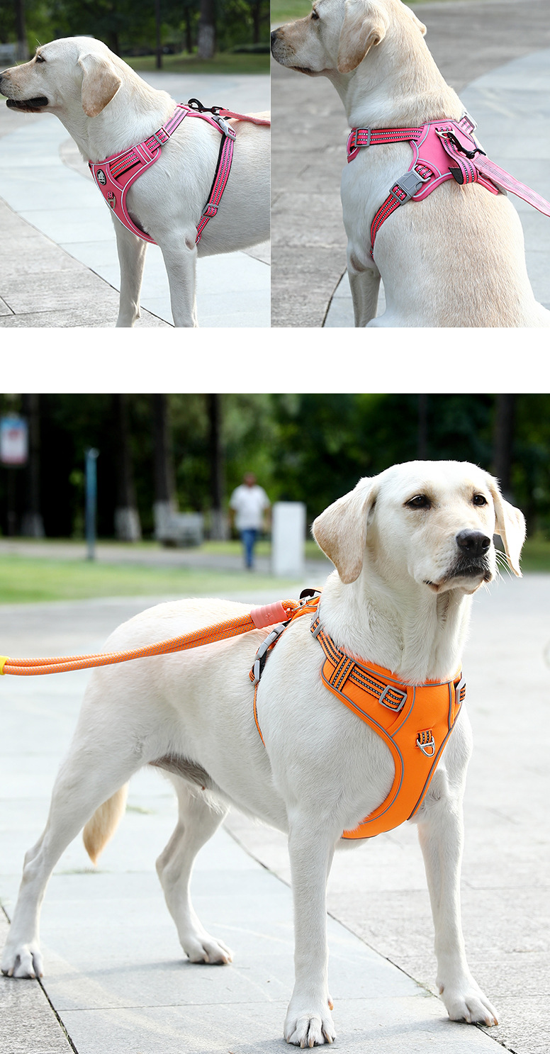 犬 ハーネス ソフトフィット安心ハーネス