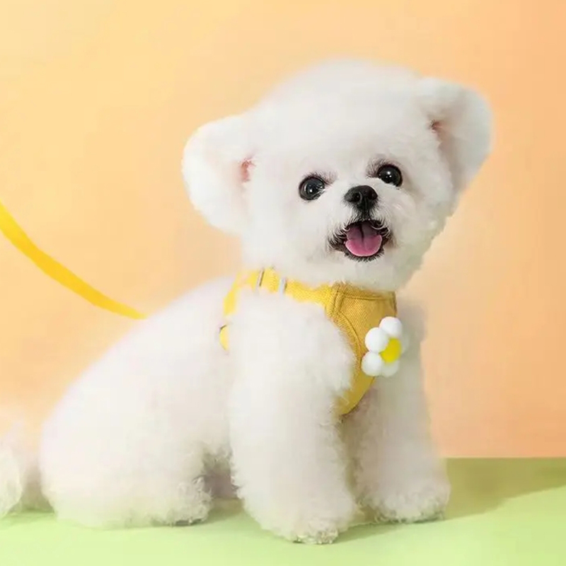 犬 ハーネス ふんわり華やか デイジーハーネス