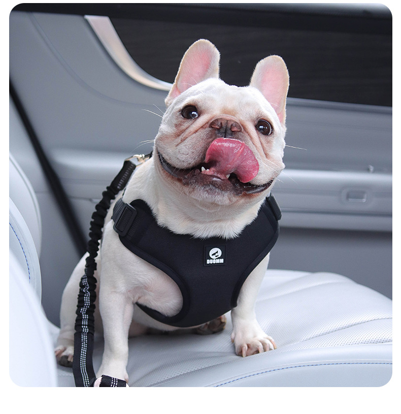 犬 ハーネス やさしさ包む メッシュ快適ハーネス