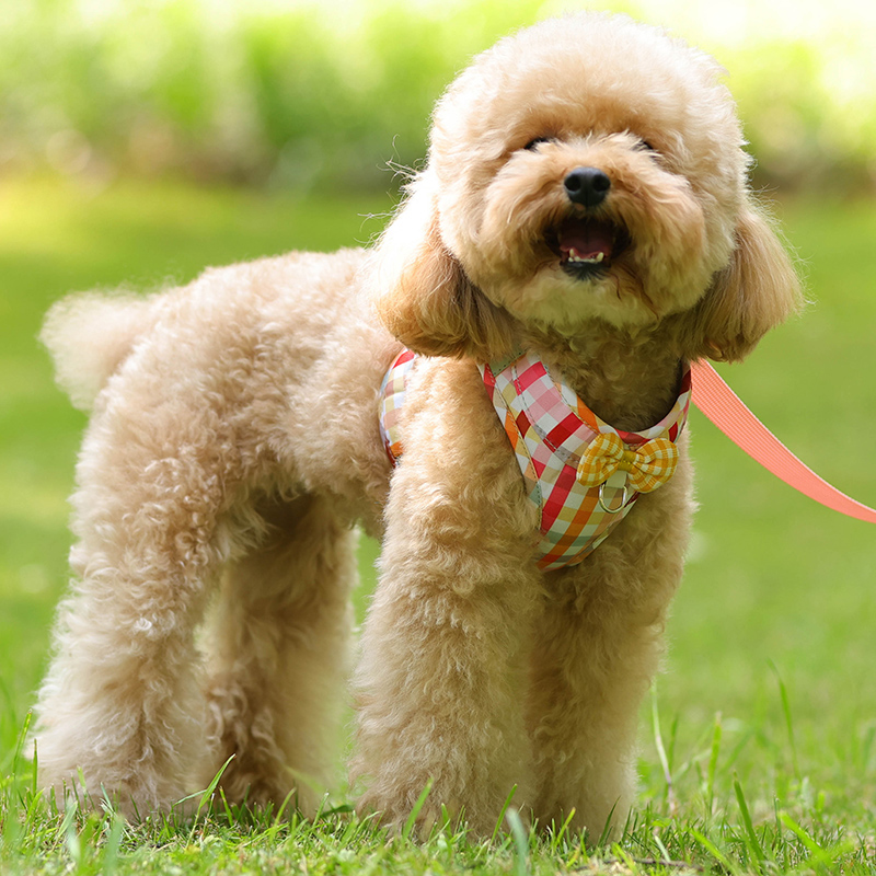 犬 ハーネス 優美な蝶結び ペットハーネス