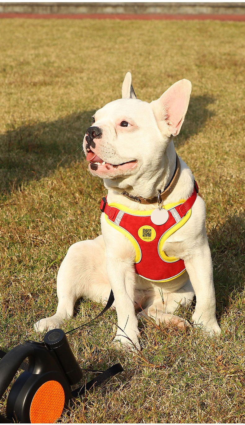 犬 ハーネス 小型犬用 やさしい肩当て快適ハーネス
