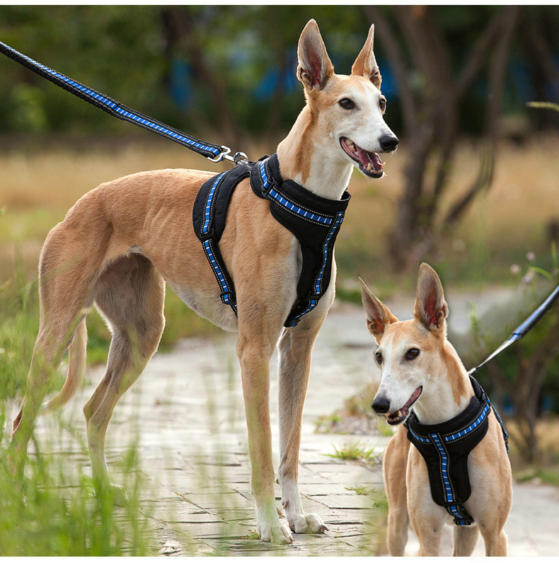 犬 ハーネス スリムフィット アウトドアハーネス