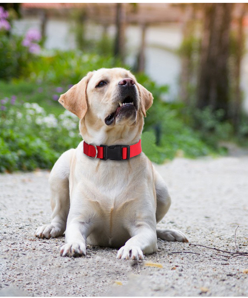 犬 ハーネス シンプル首輪 ‐和‐