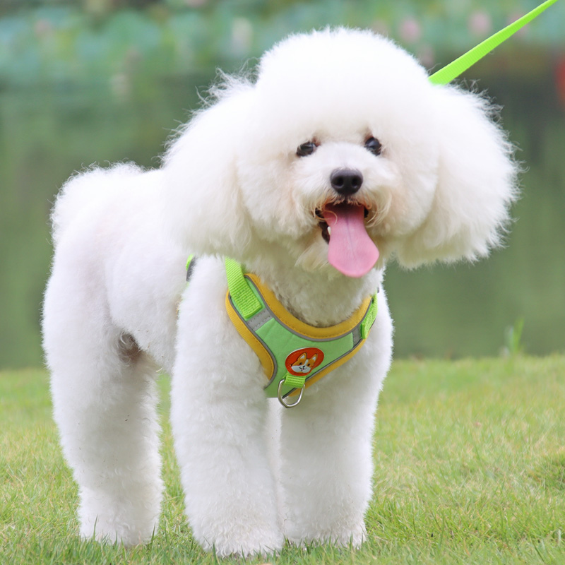 https://fulmo-img-server.com/wonderfulharness/2fc78272-59f0-4ece-a233-44d7ea80b3bd.jpg