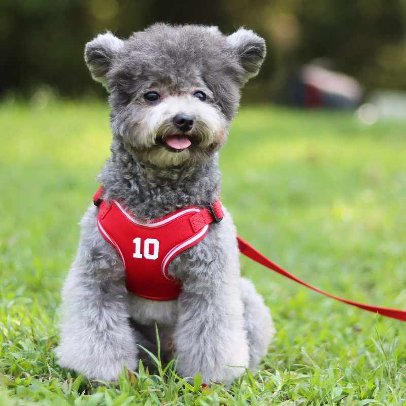 犬 ハーネス アスリートメッシュハーネス