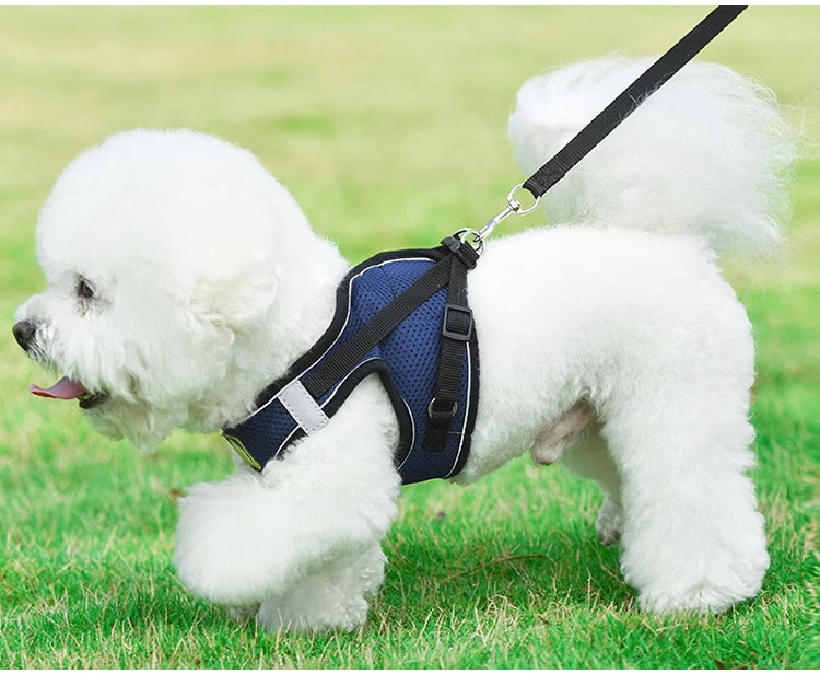 犬 ハーネス メッシュ素材の通気性抜群ハーネス