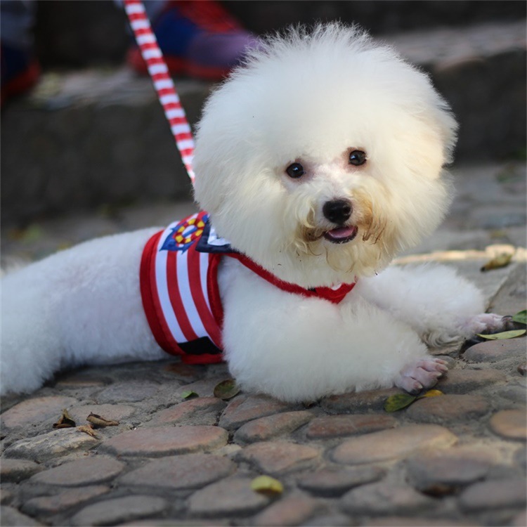 https://fulmo-img-server.com/wonderfulharness/30c9acc6-9edd-46a8-8526-fbe0625b3128.jpg