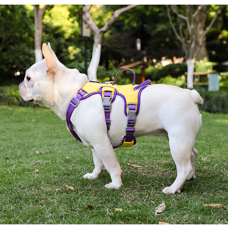 犬 ハーネス フレンチブル専用 やさしさハーネス