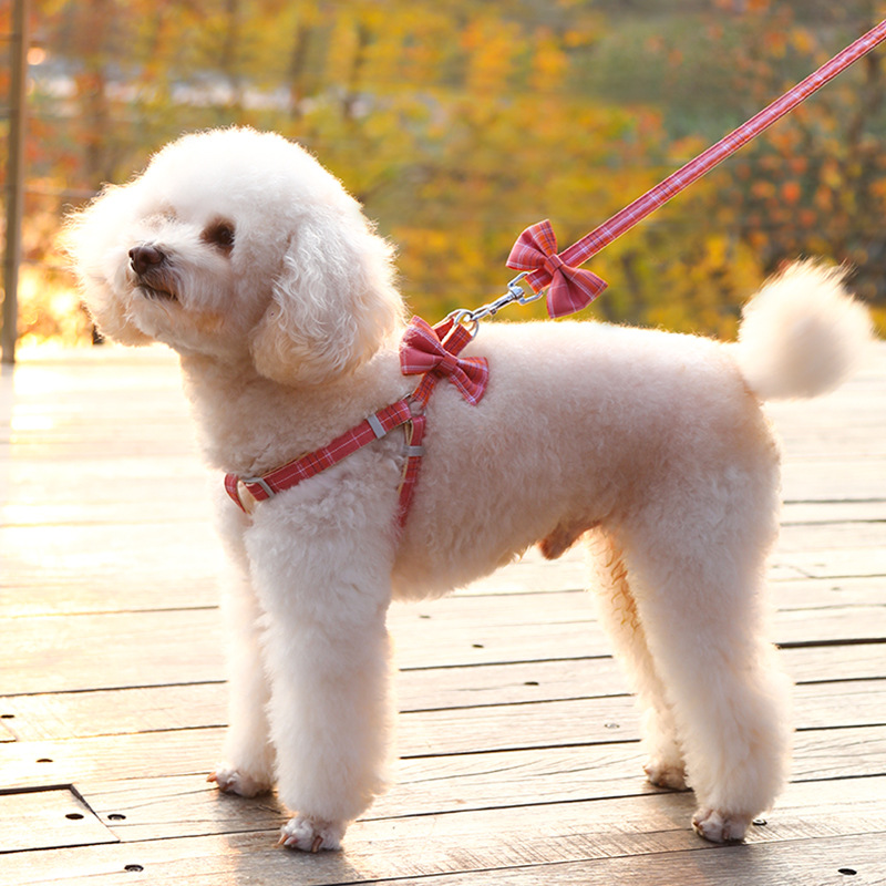 https://fulmo-img-server.com/wonderfulharness/314aab09-70ee-488d-8db3-7a76b3e6bb3a.jpg