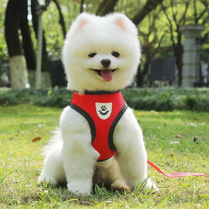 犬 ハーネス もこもこ安心メッシュハーネス