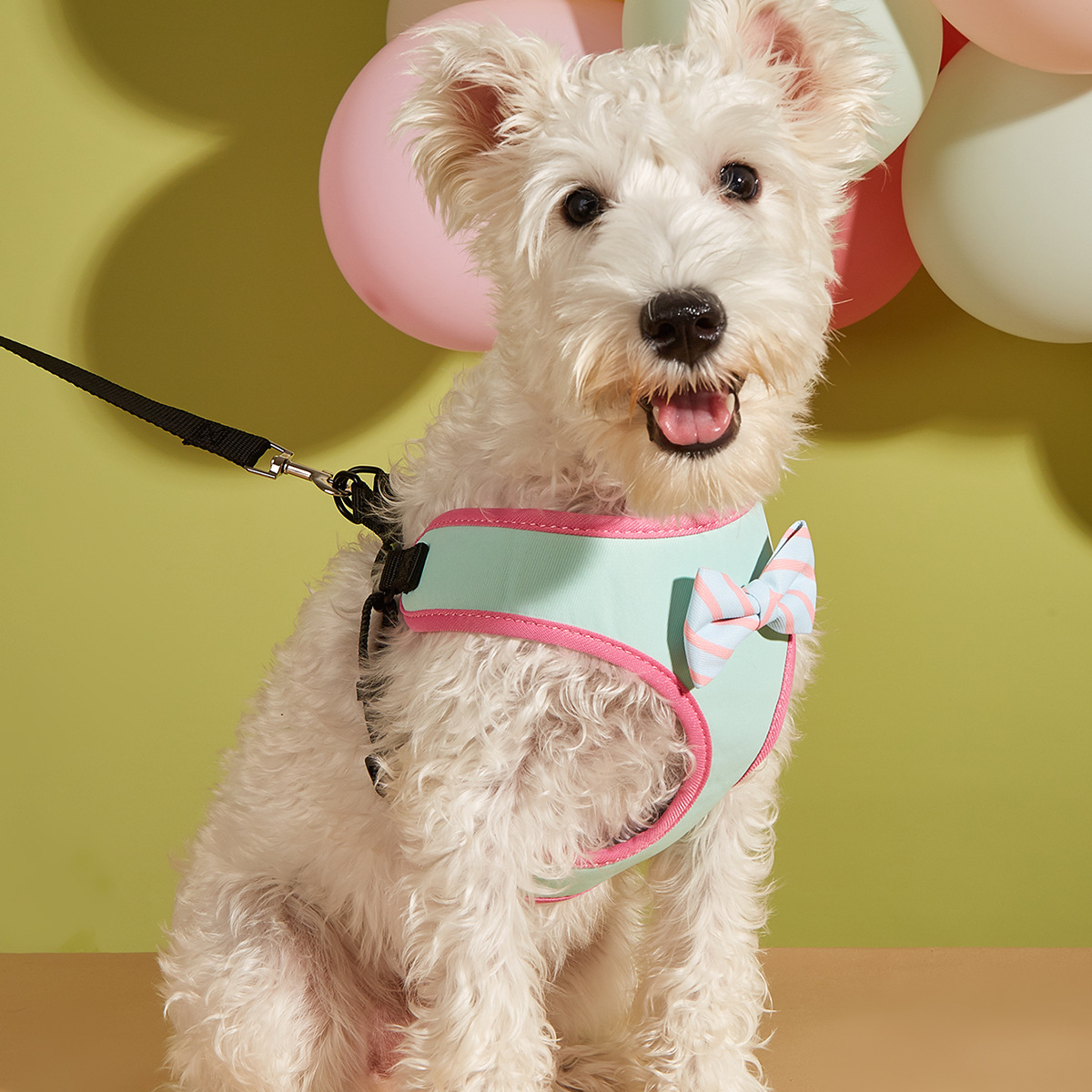 犬 ハーネス 蝶結び付きやさしいベーシックハーネス