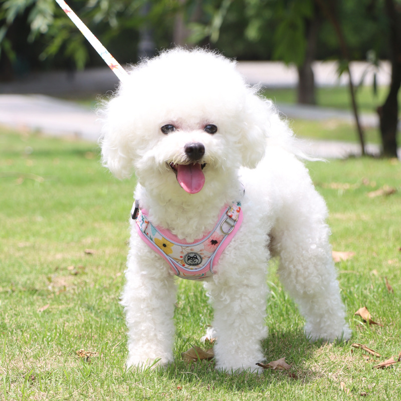 犬 ハーネス 快適お散歩ハーネス 爽やか軽量タイプ