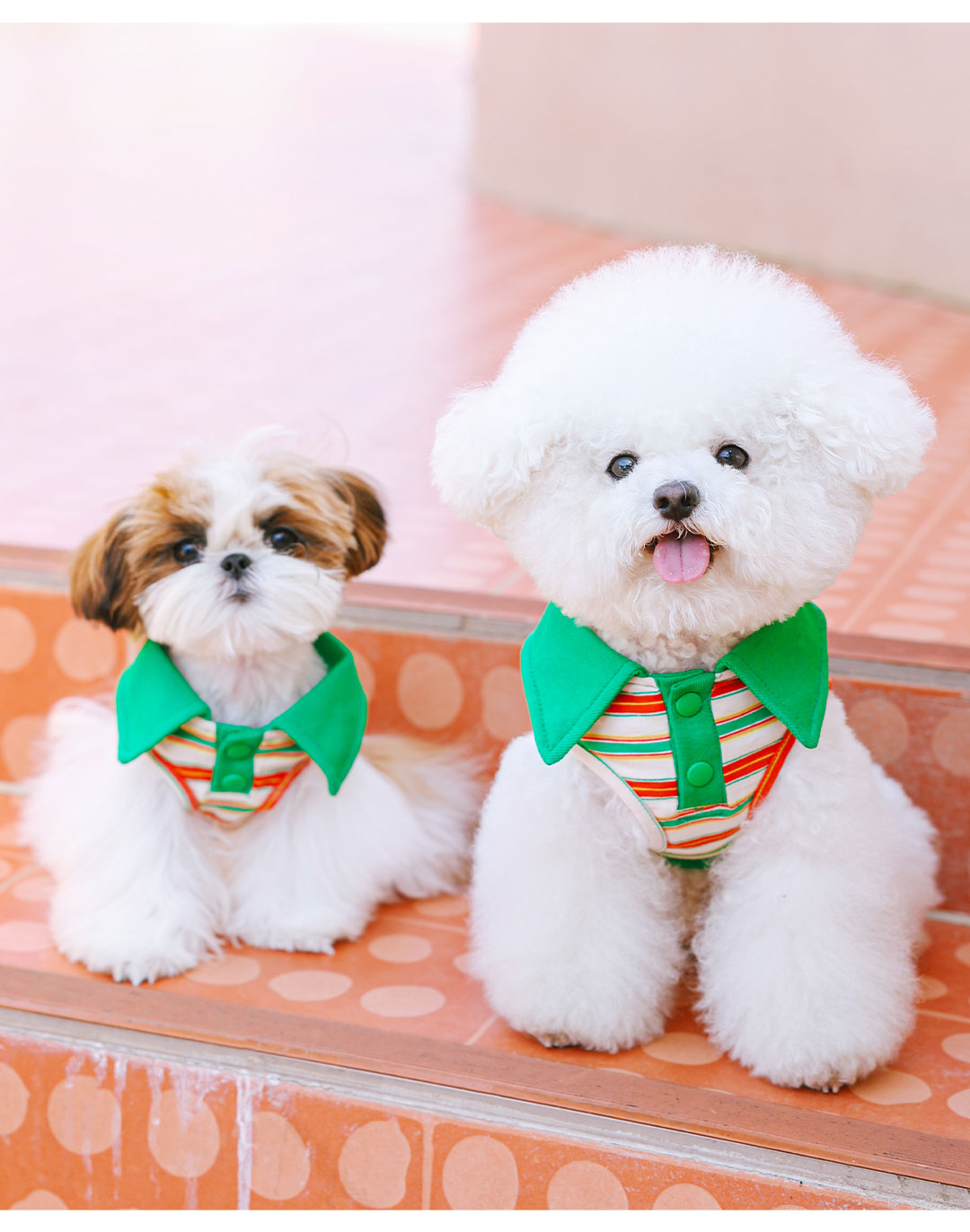 犬 ハーネス 上品なお出かけ蝶ネクタイハーネス