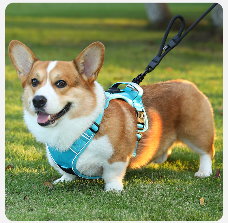 犬 ハーネス やさしさ包む 軽量ハーネス