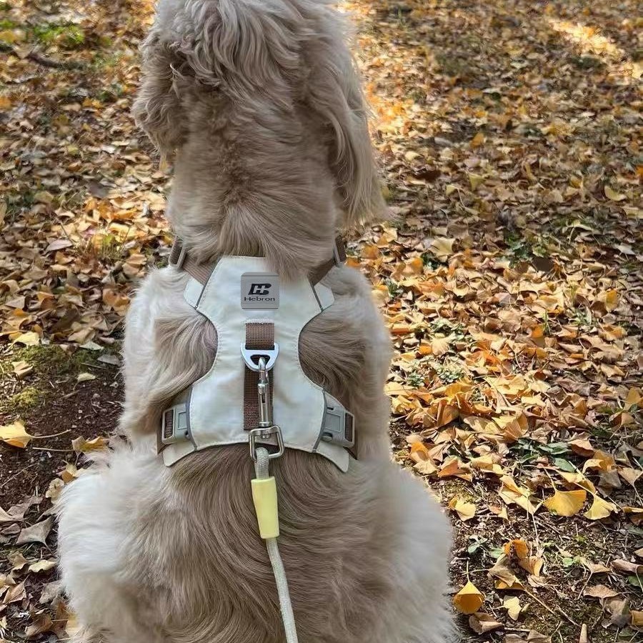 犬 ハーネス 愛犬のための軽量シンプル胴輪ハーネス