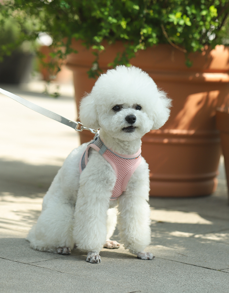 犬 ハーネス なめらかメッシュハーネス