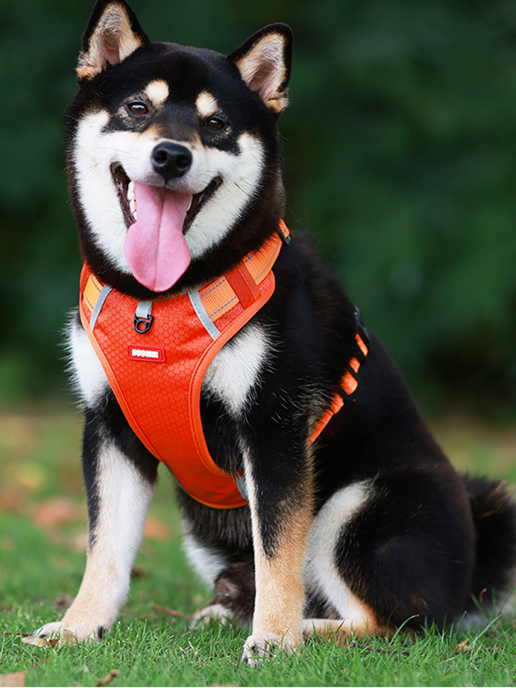 犬 ハーネス やさしい着心地 快適ハーネス