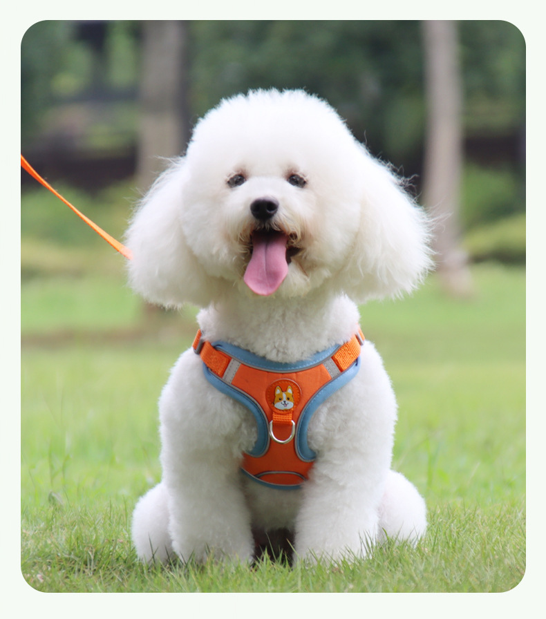 犬 ハーネス なめらか安心ハーネス
