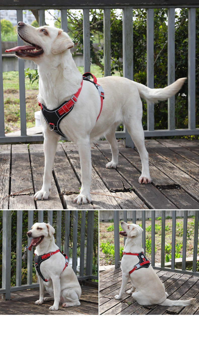 犬 ハーネス アウトドア機能性ハーネス