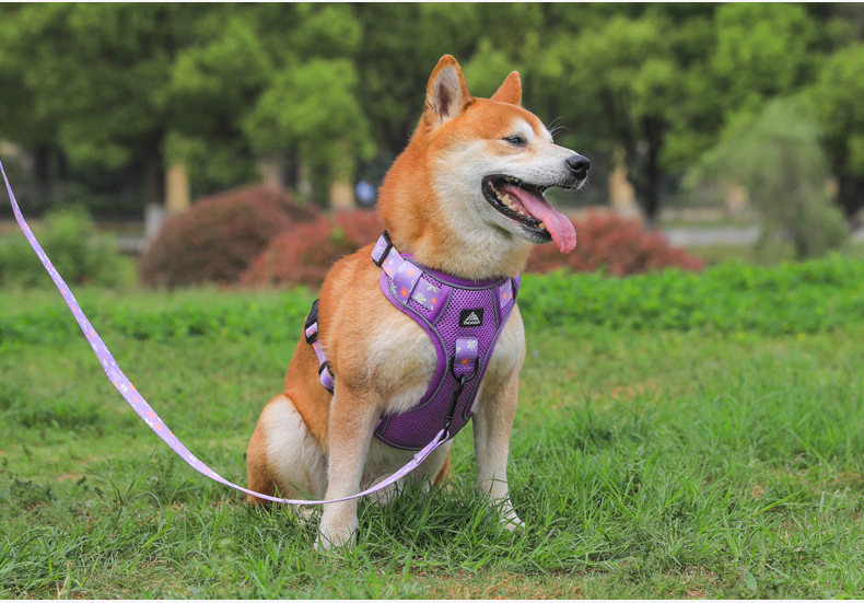 犬 ハーネス やさしさ包む 四季の散歩ハーネス