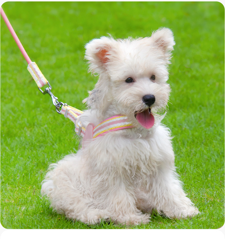 犬 ハーネス しなやかハート飾り ハーネス