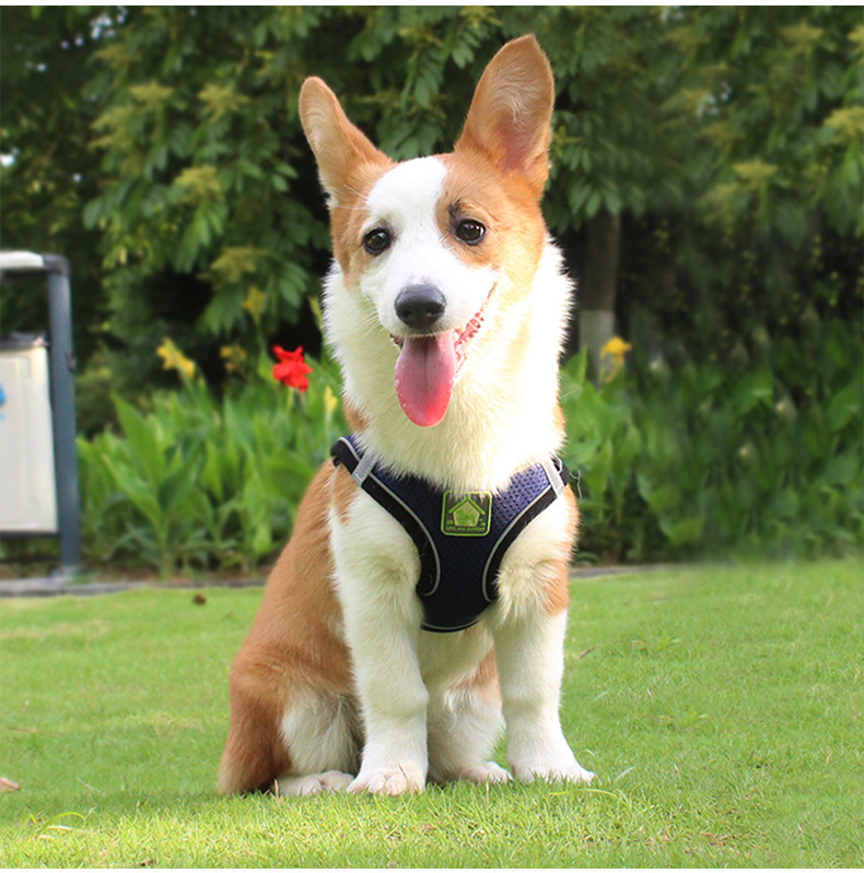 犬 ハーネス やさしさ包む メッシュハーネス