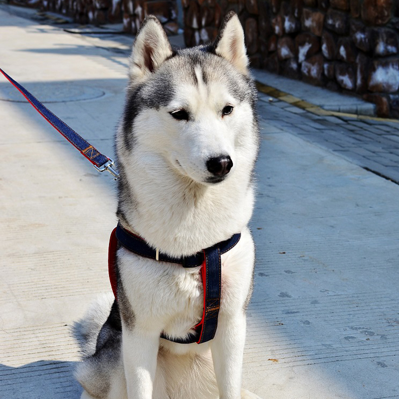 犬 ハーネス スムースウェアハーネス