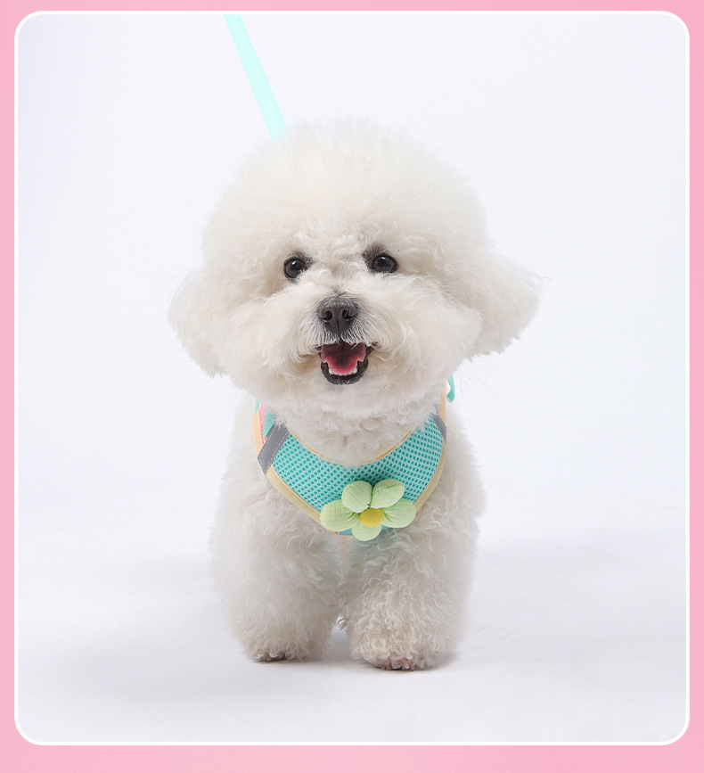 犬 ハーネス こだわり職人の優美ハーネス