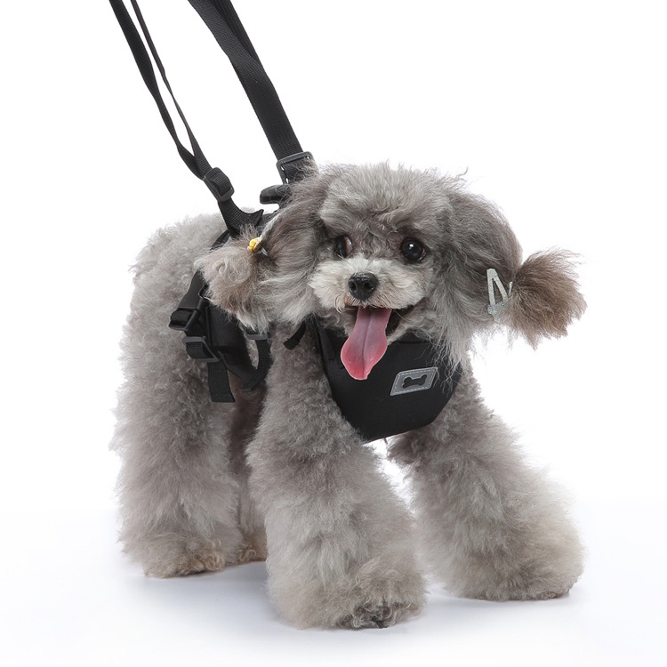 https://fulmo-img-server.com/wonderfulharness/33bba4bf-0153-403b-9596-27f486ff0e60.jpg